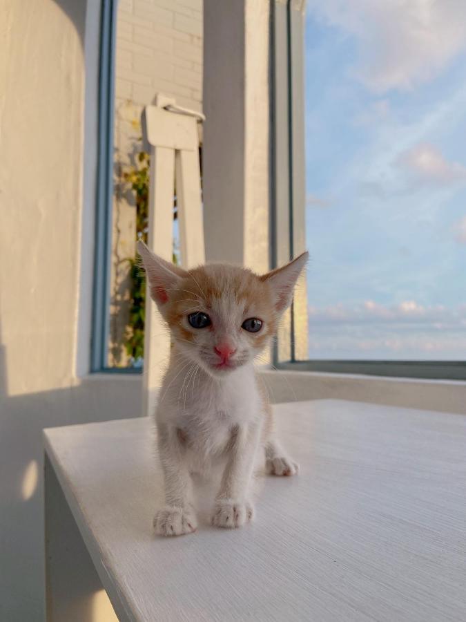 Kenting Met Hi Inn 어롼 외부 사진